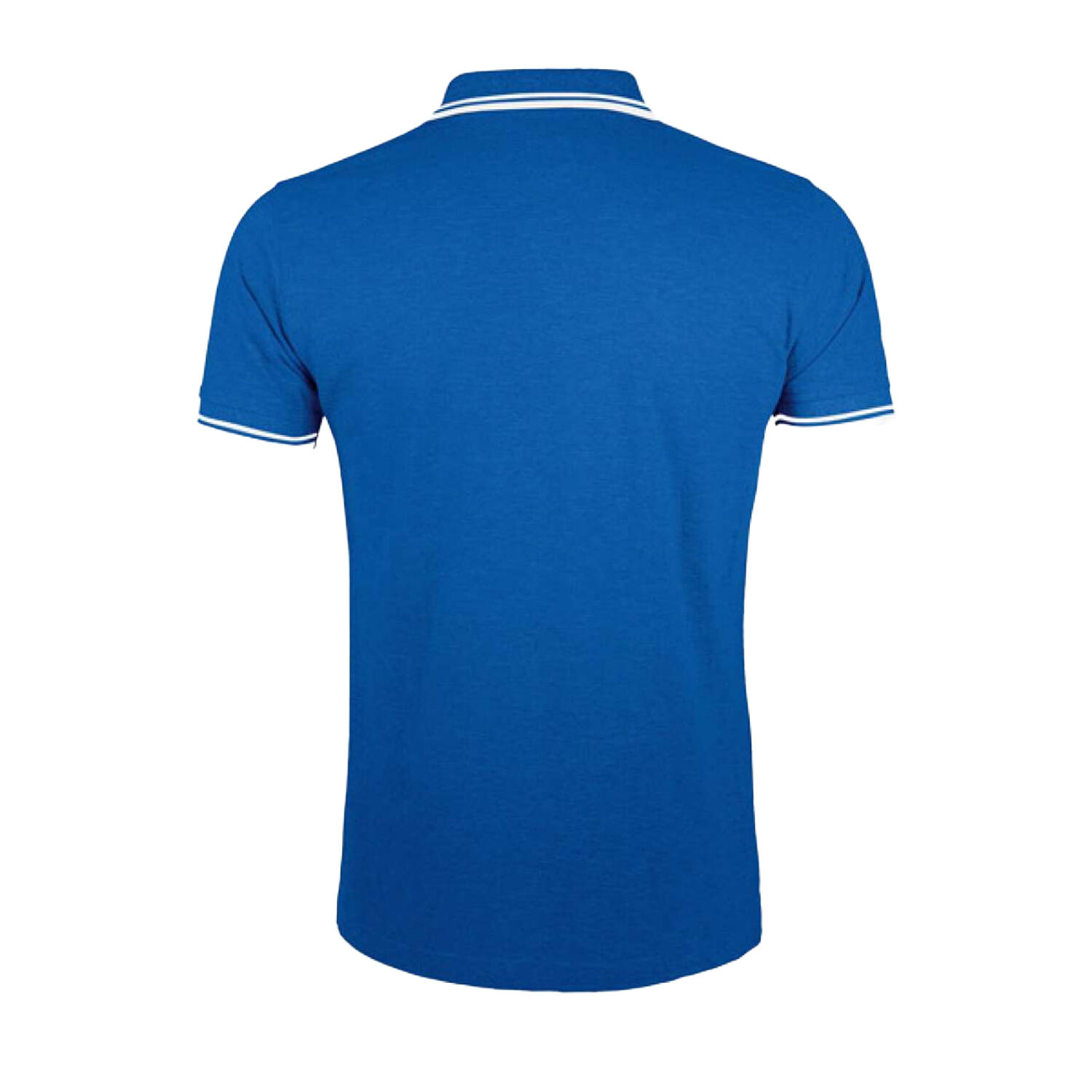 Polo PASADENA Homme (Bleu Roi / Blanc) 2/4