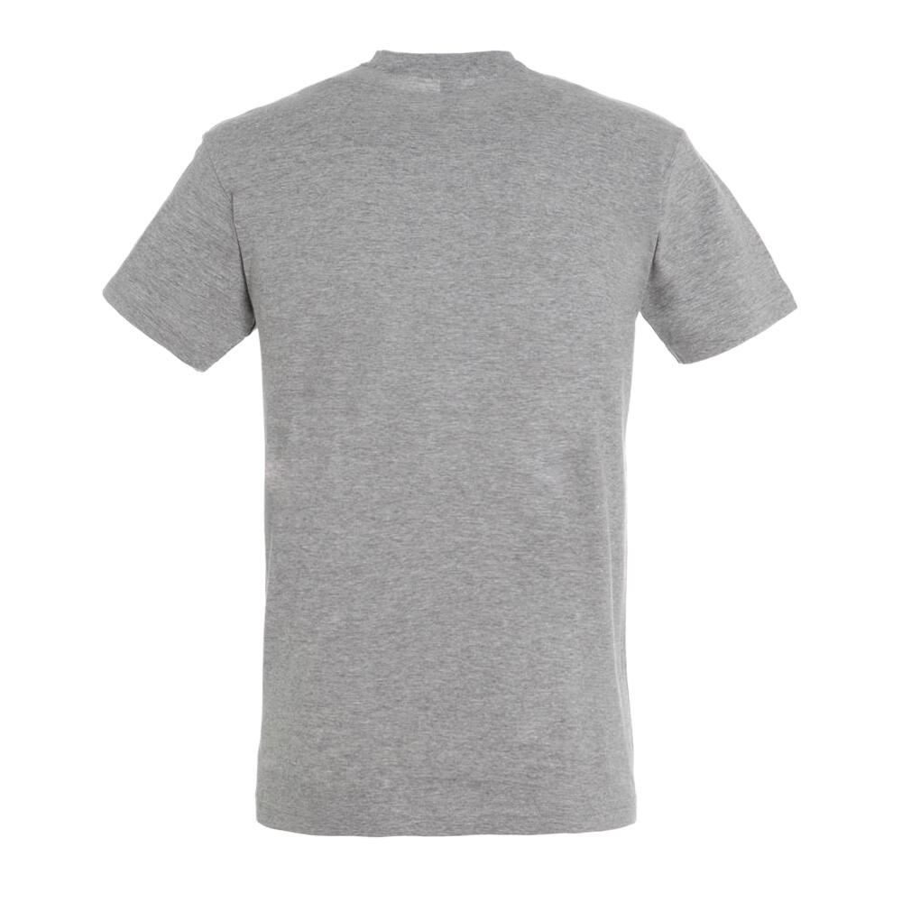 Tshirt Adulte (Gris Chiné) 2/4