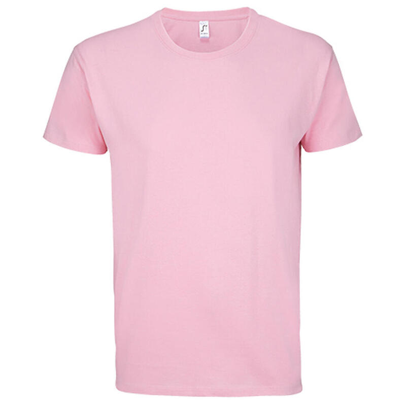 1fb02886-c62d-40f6-aabe-c8b3dbc511c3_c24