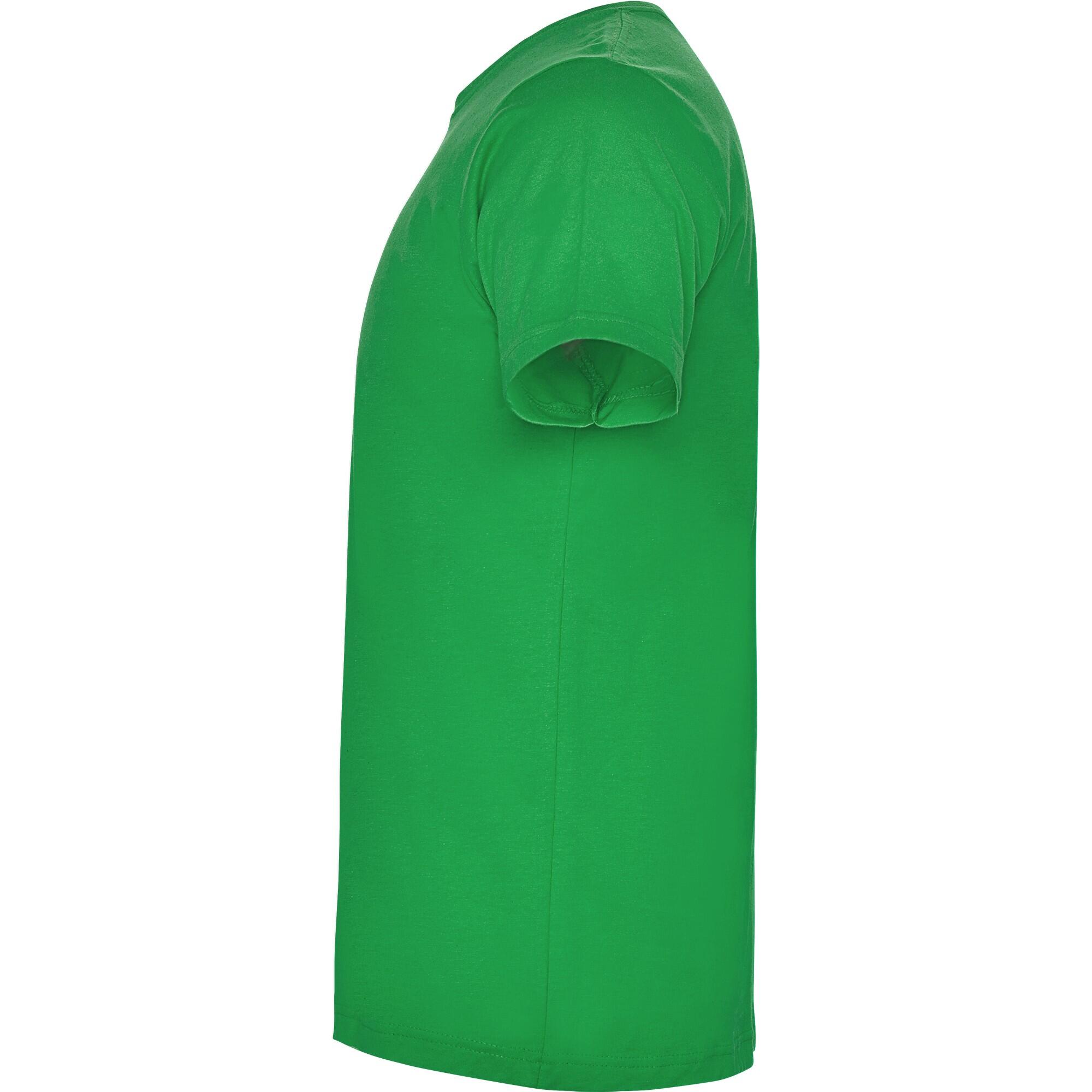 Maglietta Uomo Roly Dogo Premium Verde Irlanda 3/4