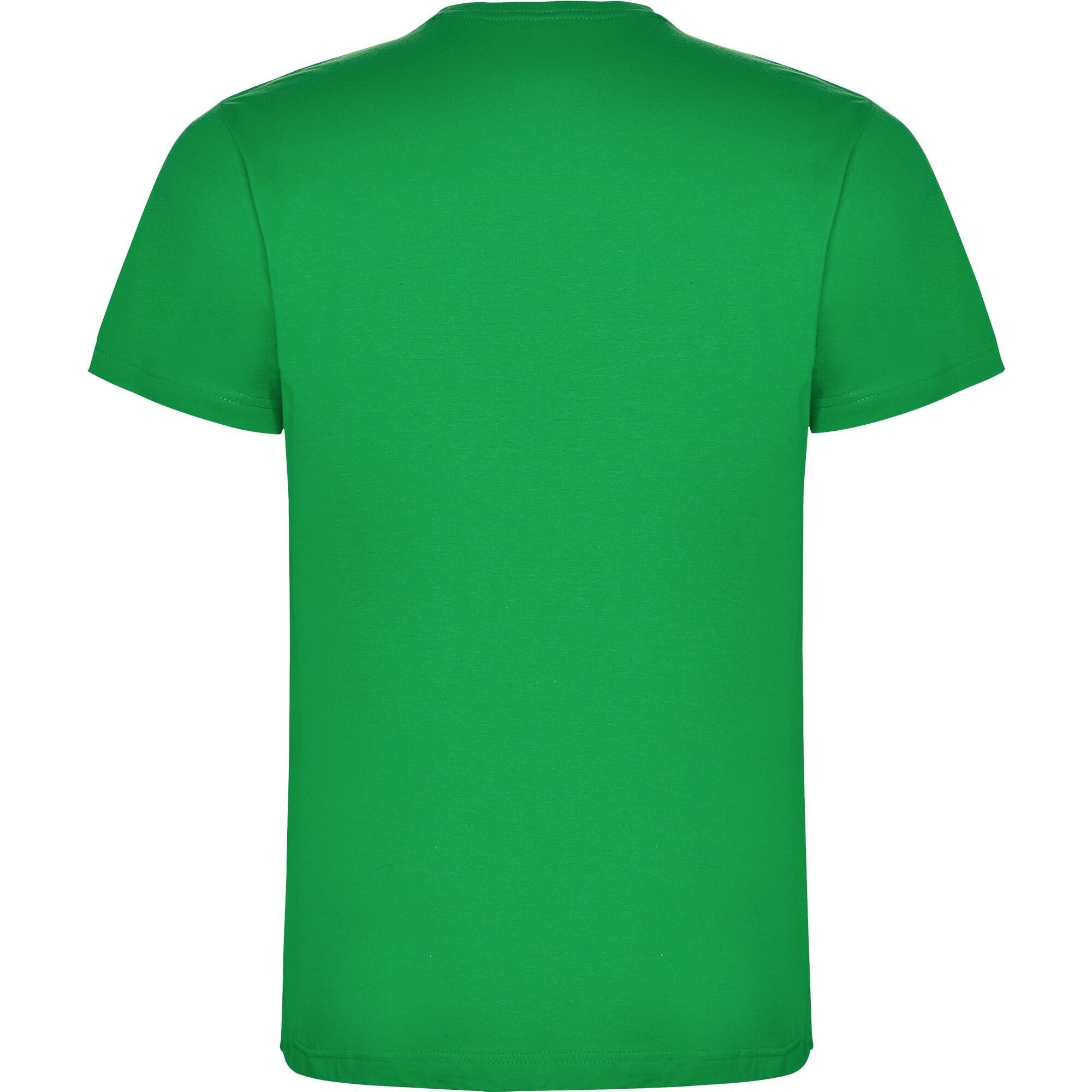 Maglietta Uomo Roly Dogo Premium Verde Irlanda 2/4