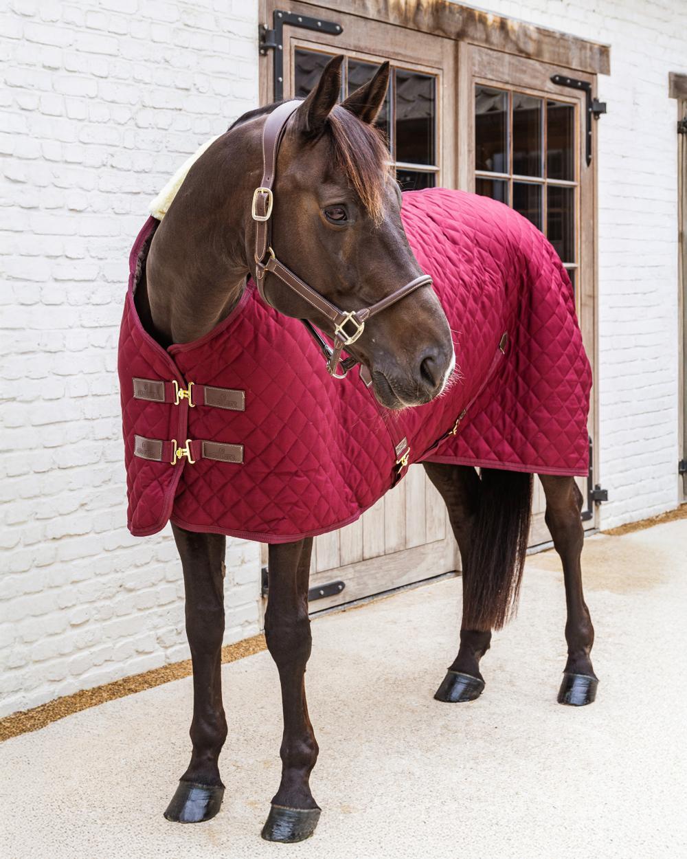 Manta estável para cavalos Kentucky Horsewear 400g 4/5