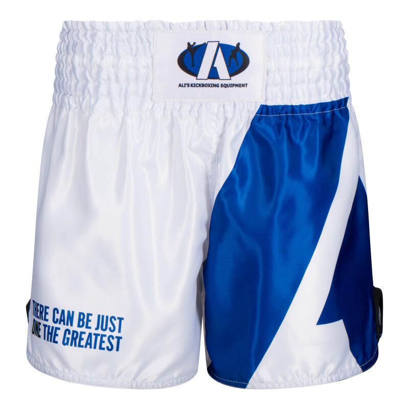 ALI'S FIGHTGEAR picture