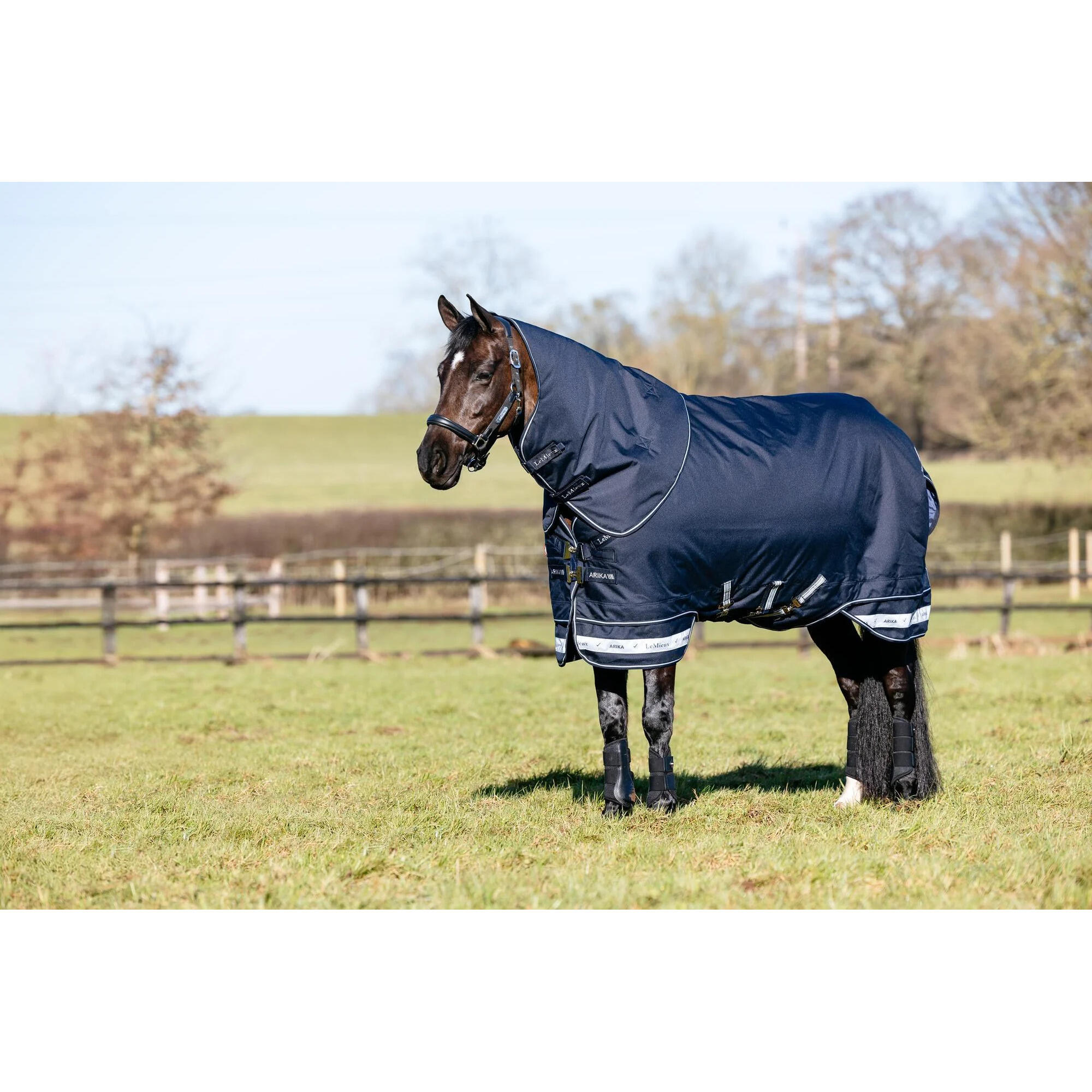 Couverture d'extérieur pour cheval LeMieux Arika Storm-Tek 50g 3/7