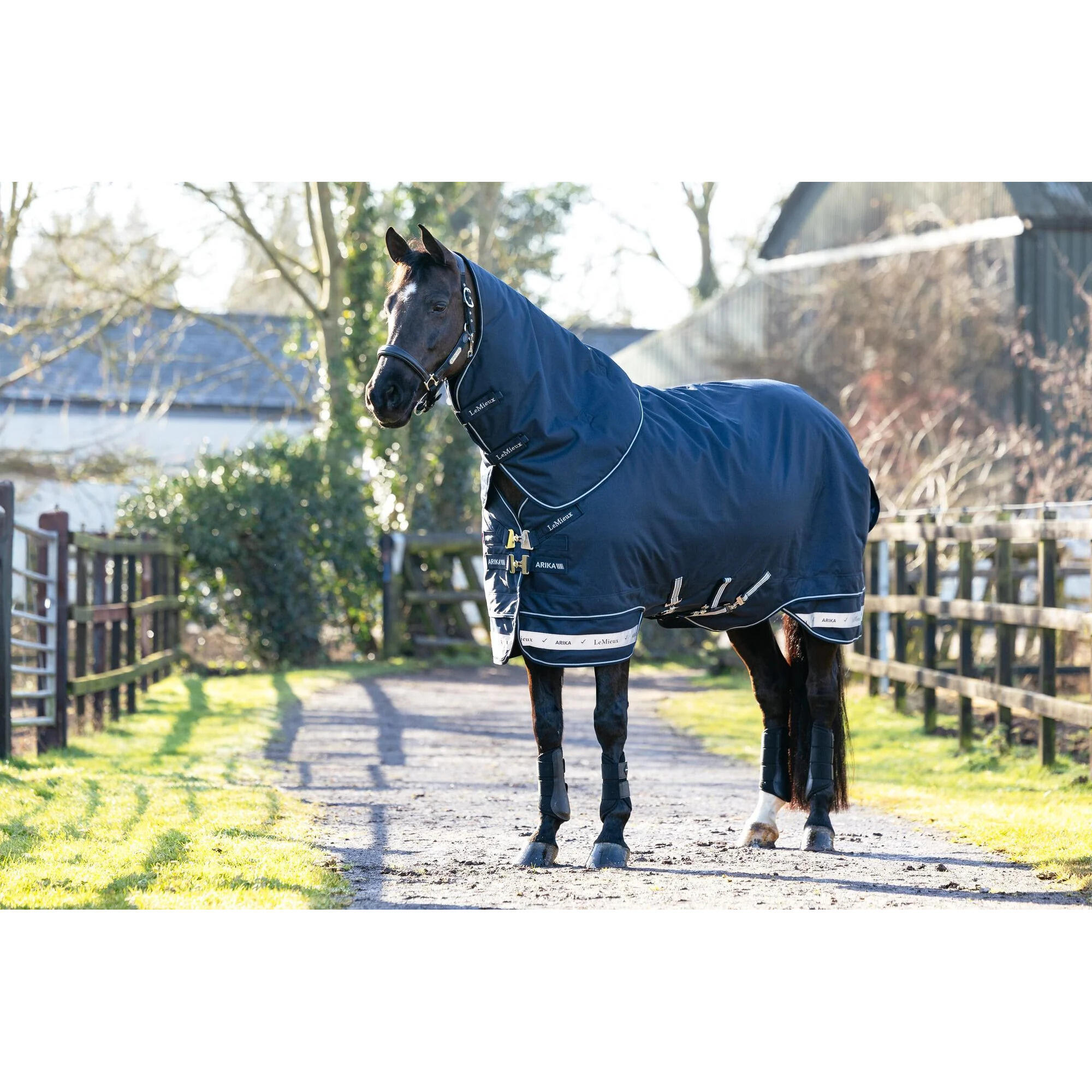 Couverture d'extérieur pour cheval LeMieux Arika Storm-Tek 50g 2/7