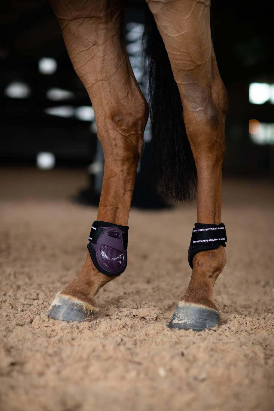 EQUESTRIAN STOCKHOLM picture