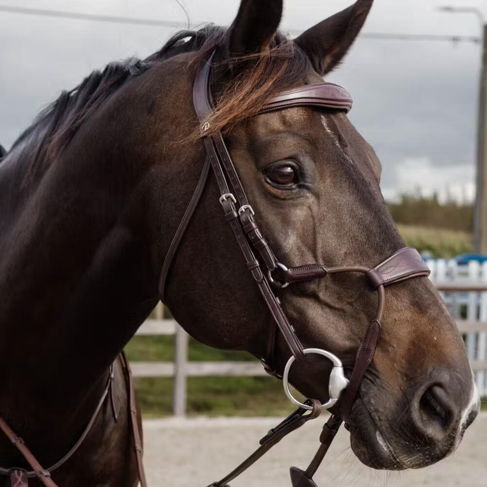 Bridon équitation muserolle combinée anatomique Dy'on NE coll 2/5