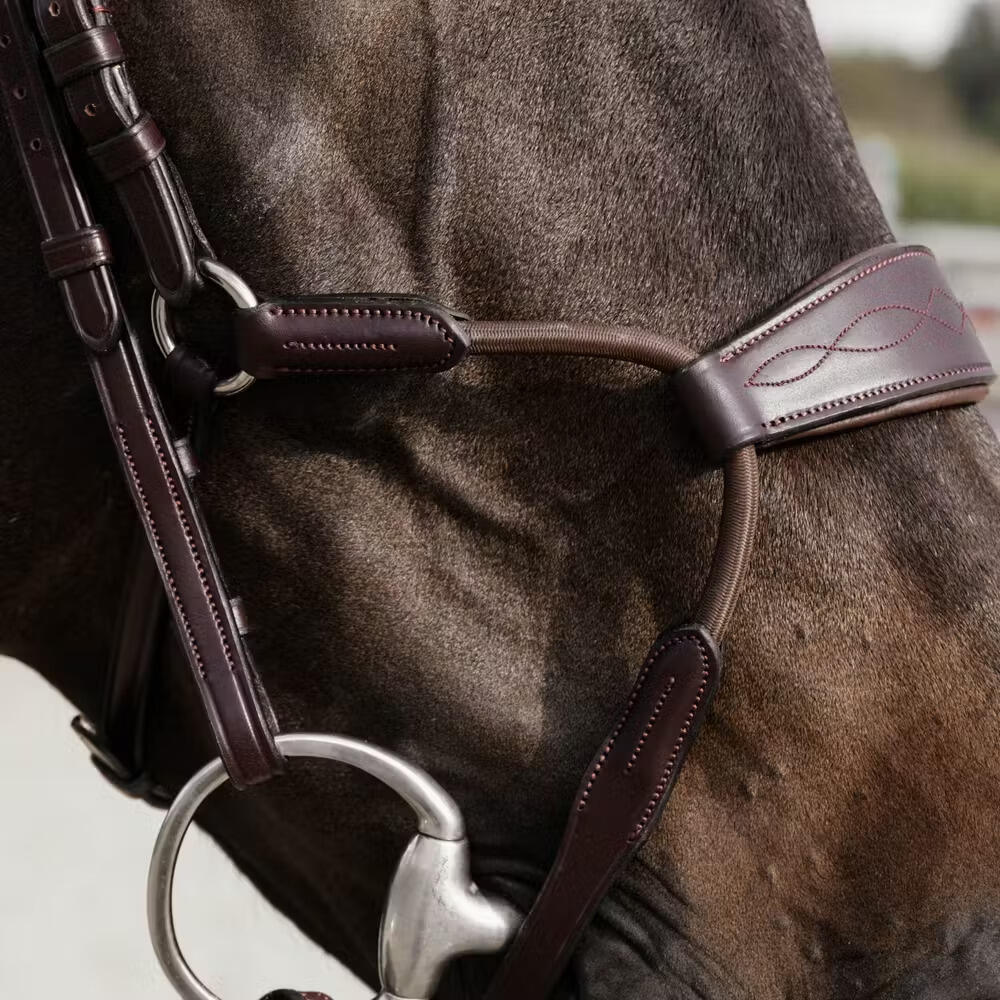 Bridon équitation muserolle combinée anatomique Dy'on NE coll 5/5