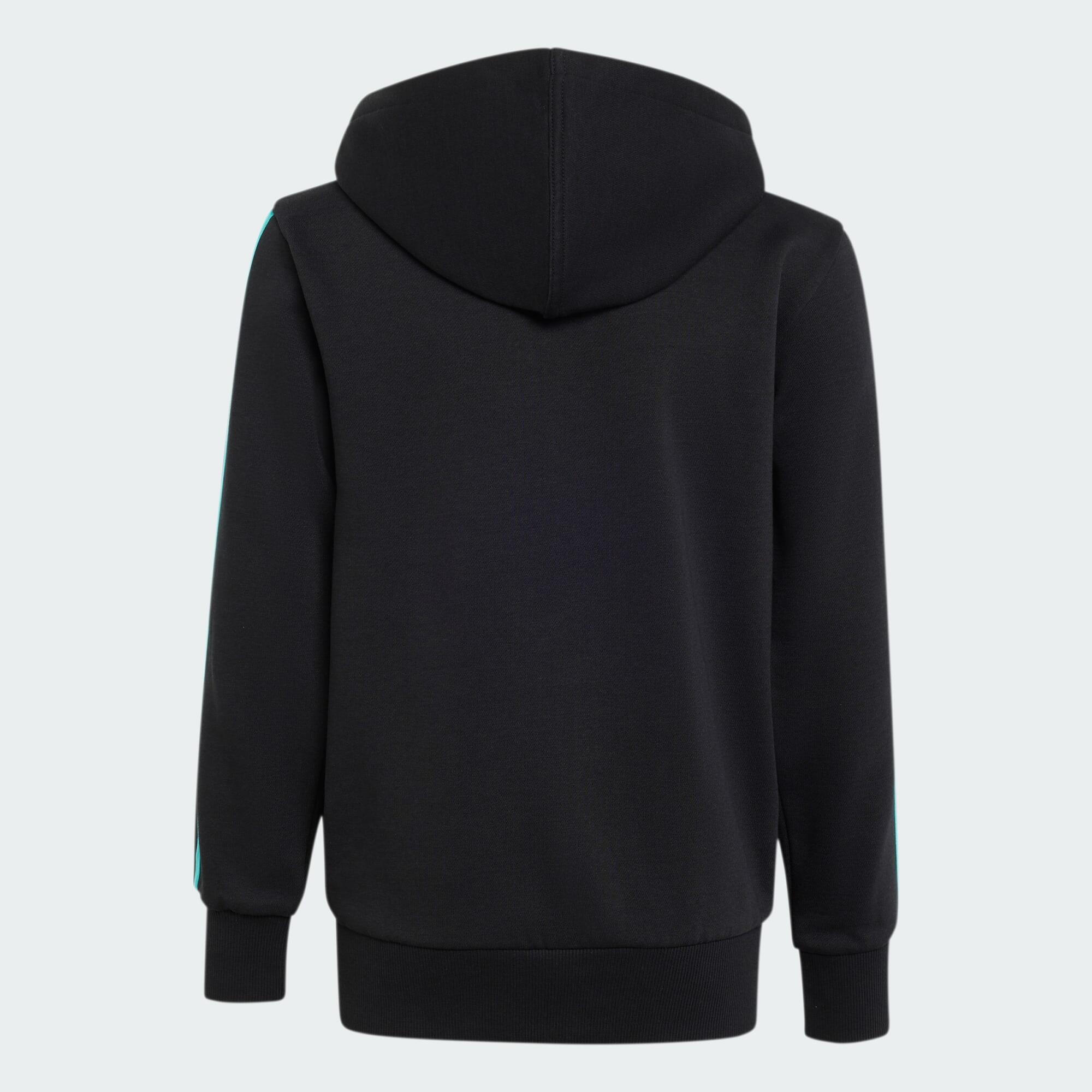 VESTE À CAPUCHE ZIP INTÉGRAL MERCEDES - AMG PETRONAS FORMULA 1 TEAM DNA 4/5