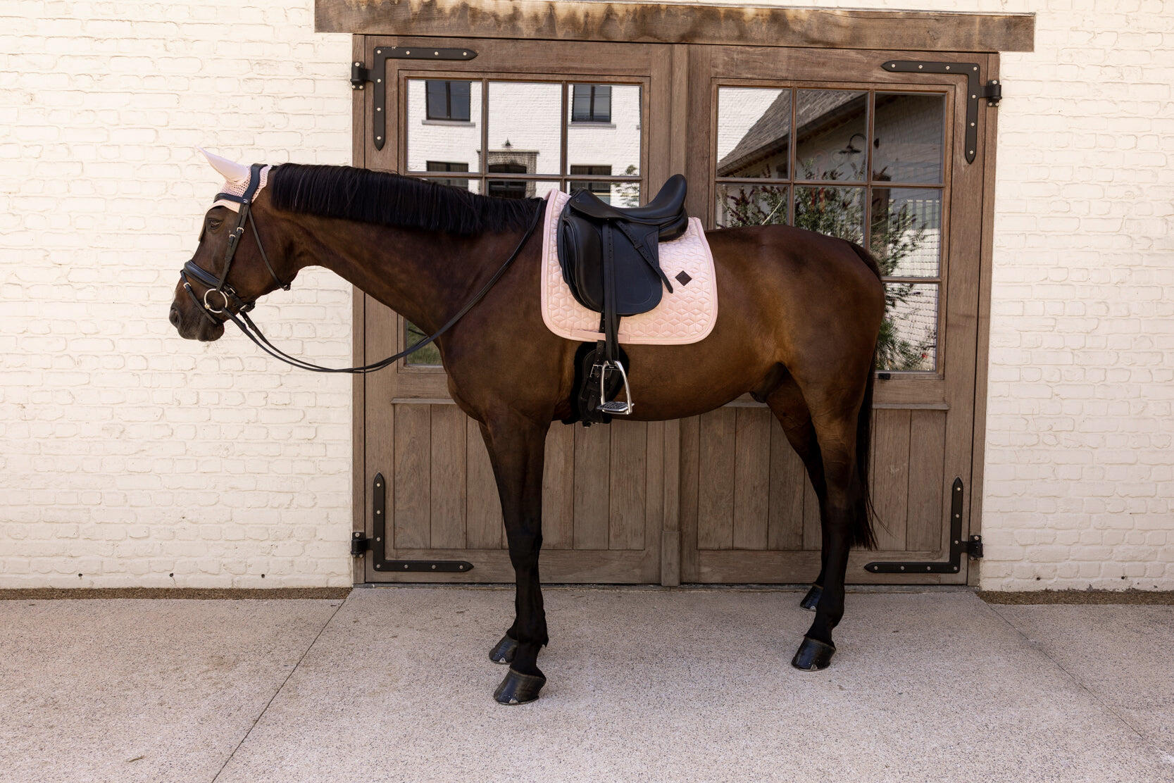 KENTUCKY HORSEWEAR picture