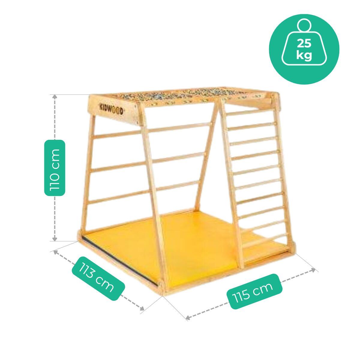 Domino Basic Aire de Jeux d’Intérieur – Échelle, Toboggan et Balançoire 4/7