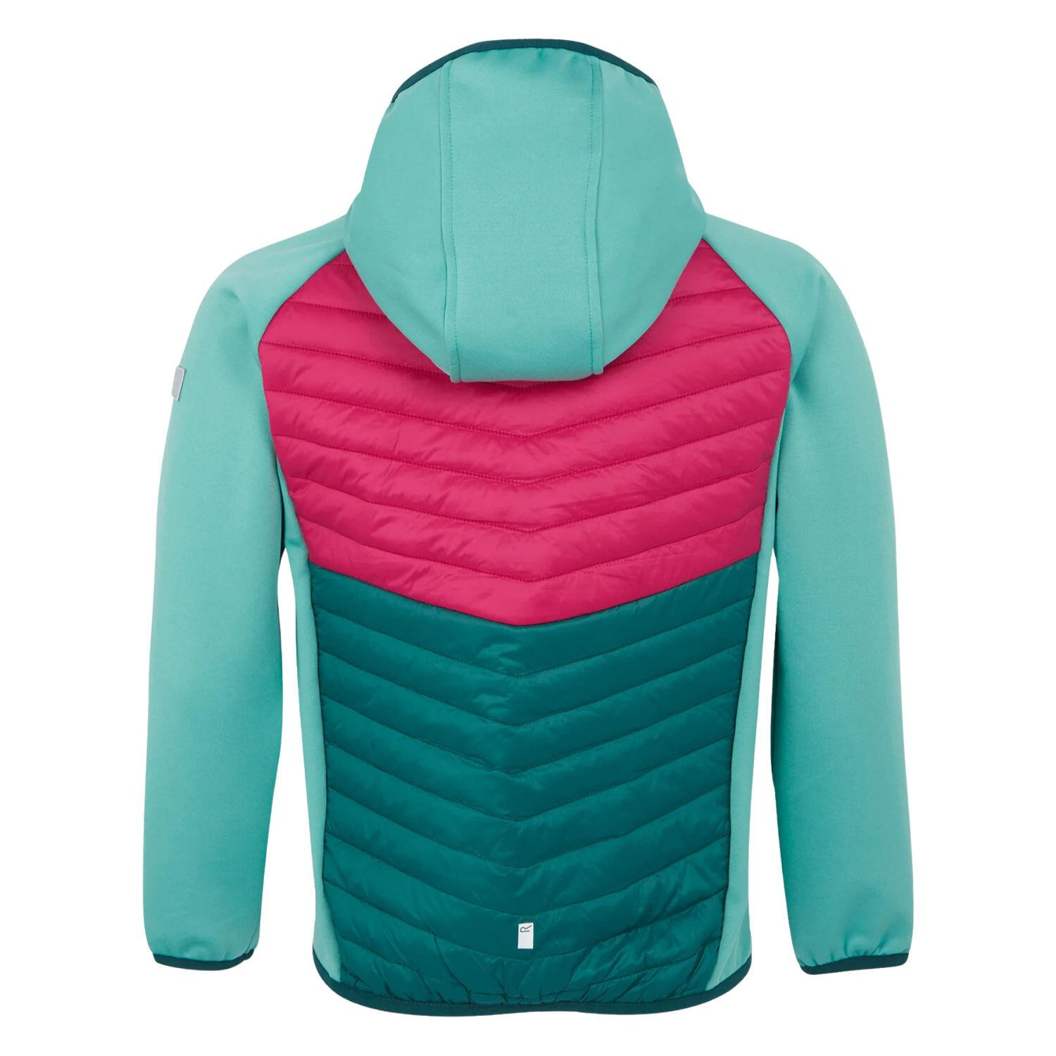 Chaqueta de senderismo Regatta Kielder VIII softshell para niño 5/6
