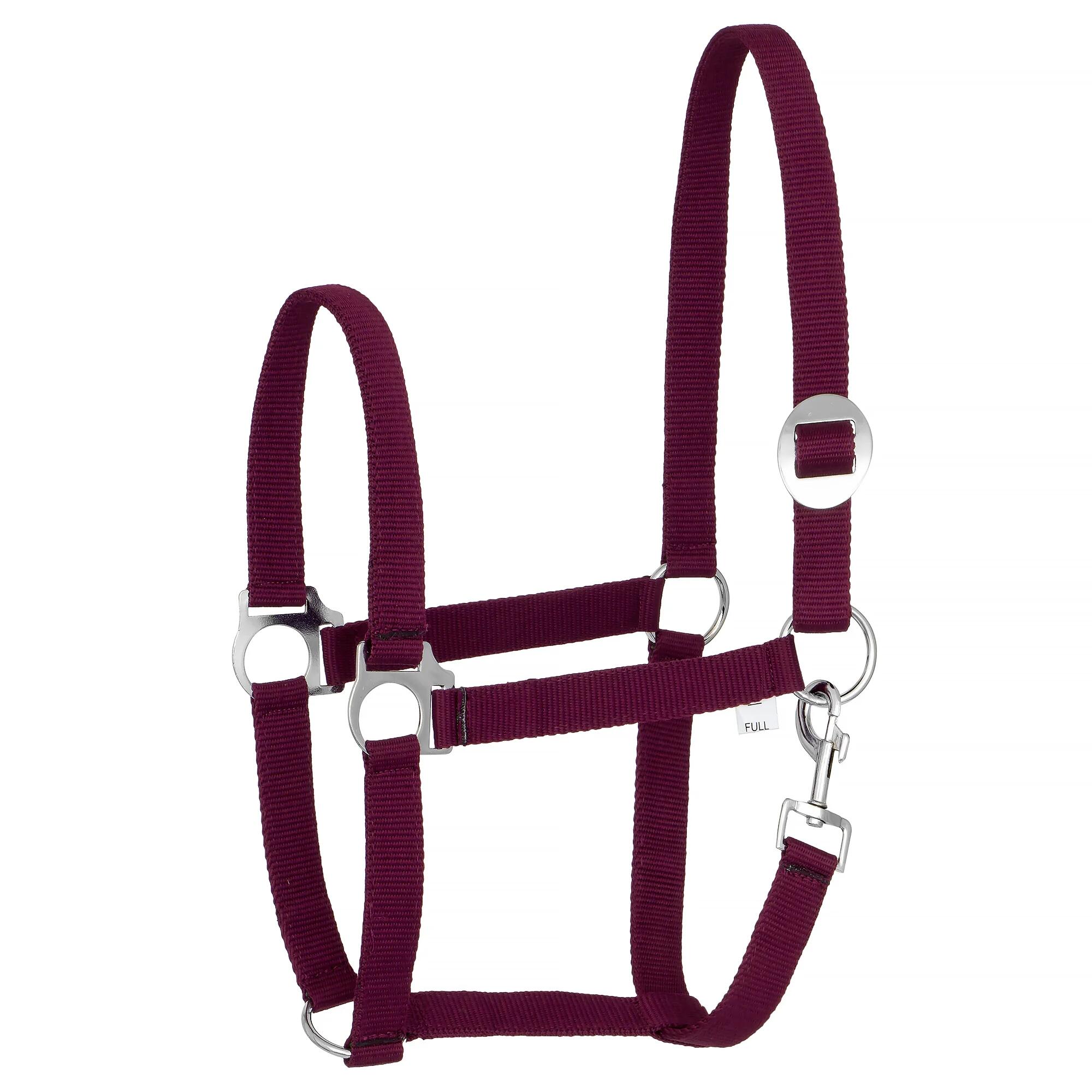 Halter START Economic