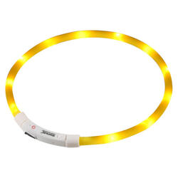 Collier LED Regatta pour chien jaune