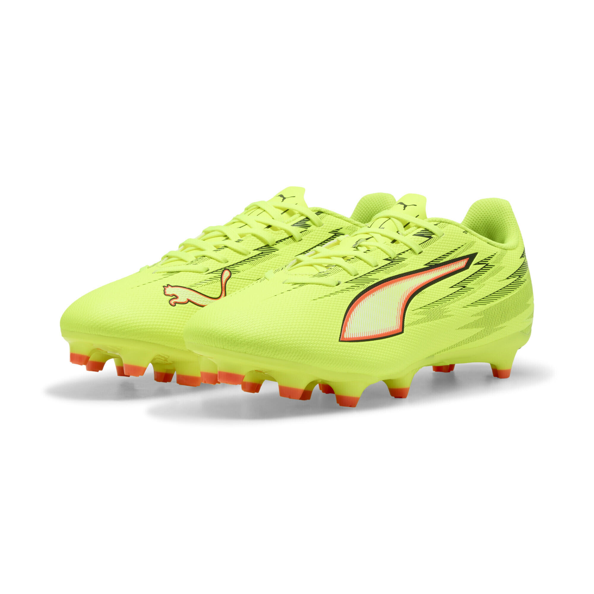 PUMA picture