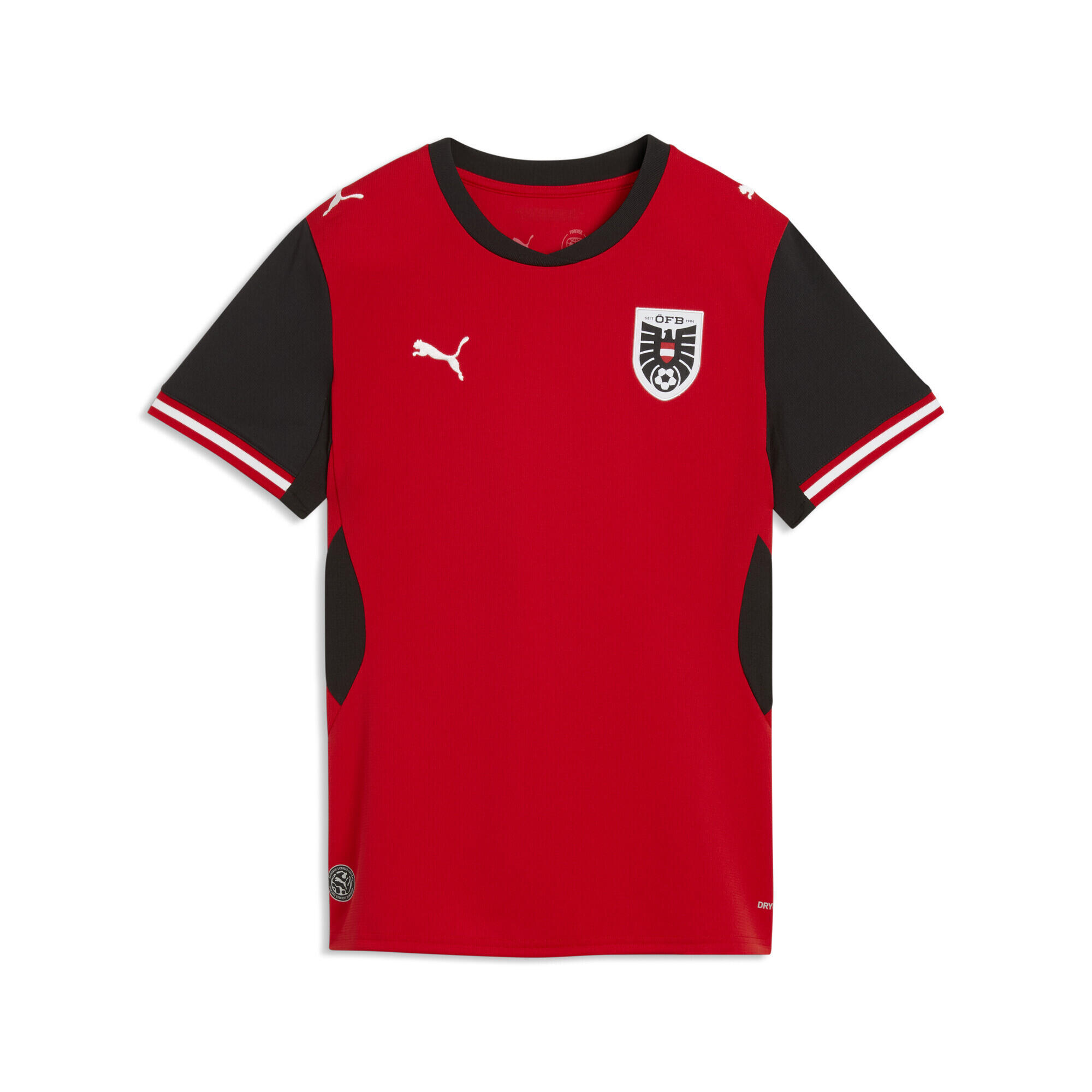 PUMA picture