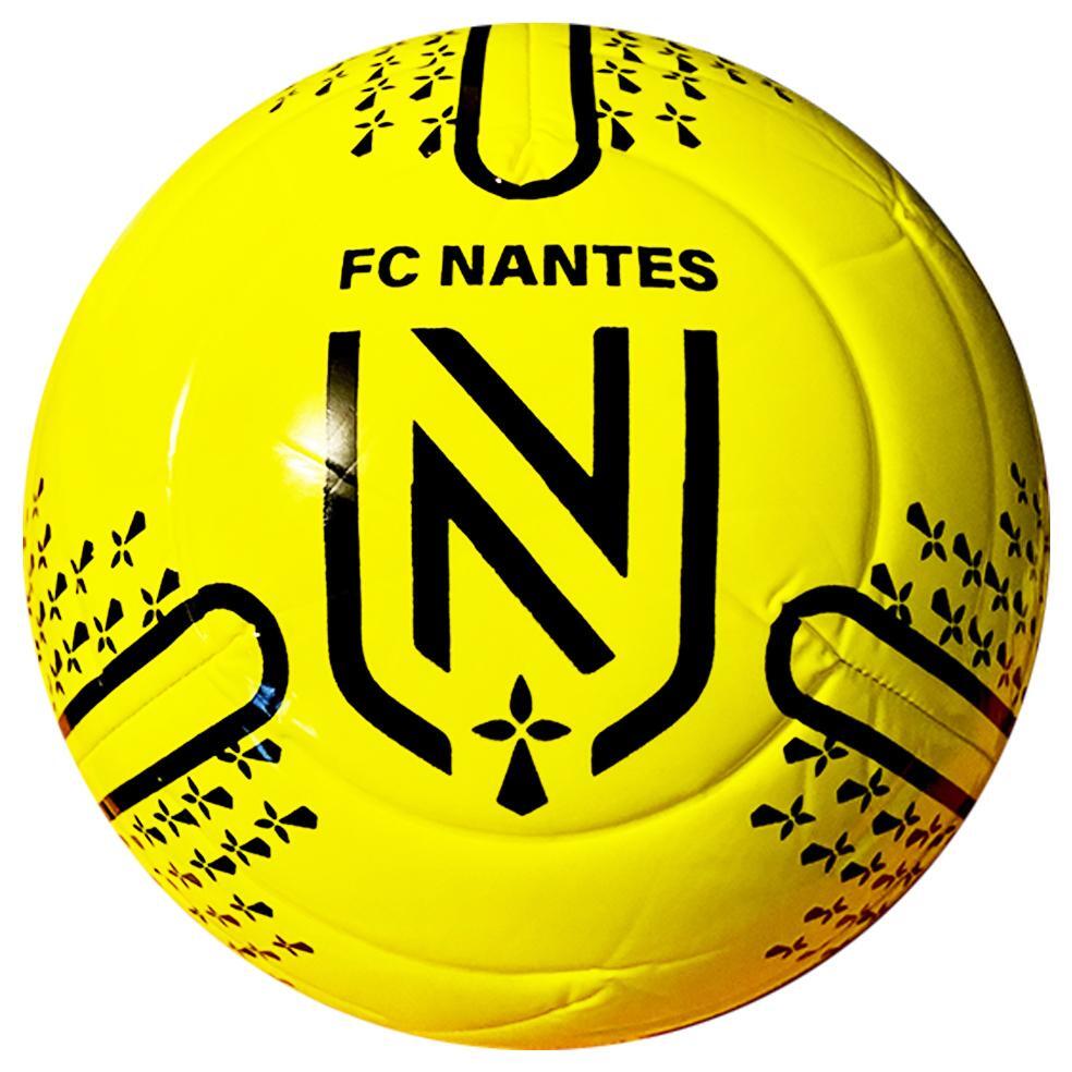 FC NANTES picture