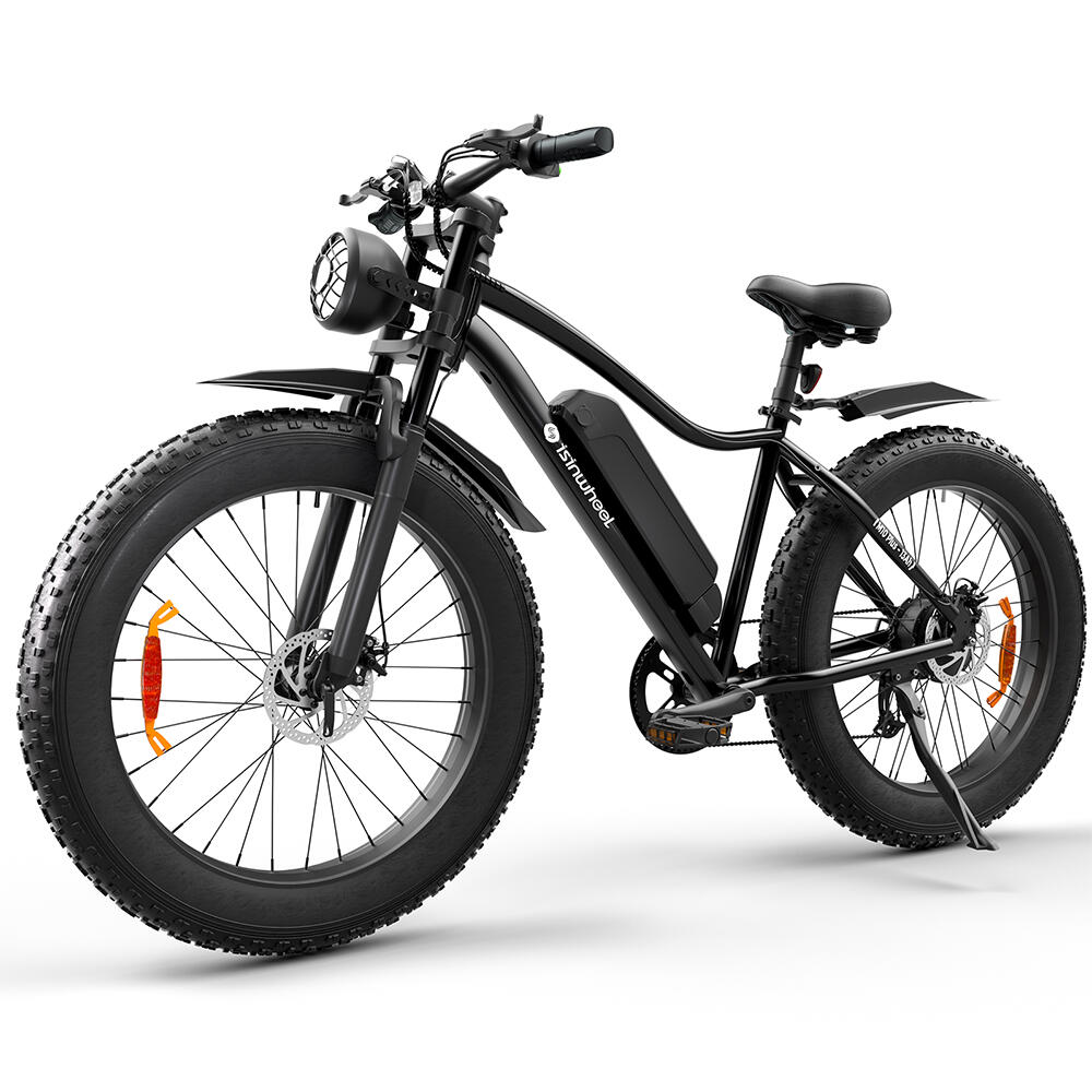 ISINWHEEL Elektrokolo isinwheel M10 Plus, baterie 250 W 48 V 13 Ah