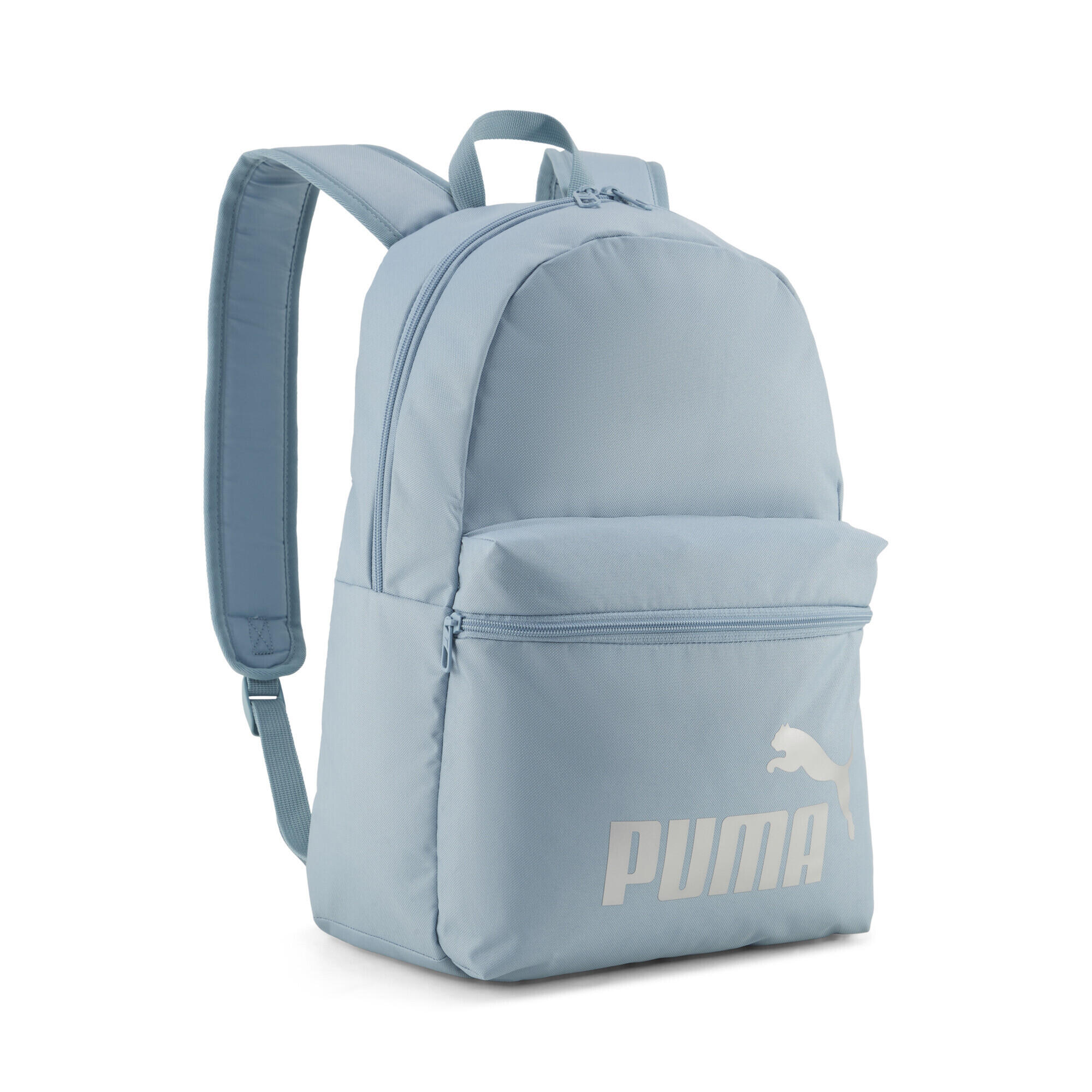 PUMA picture