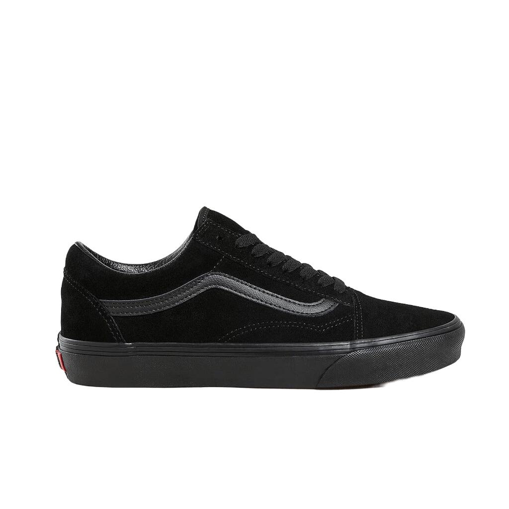 VANS picture