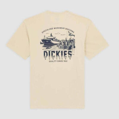 T-shirt dickies pelham wood ash