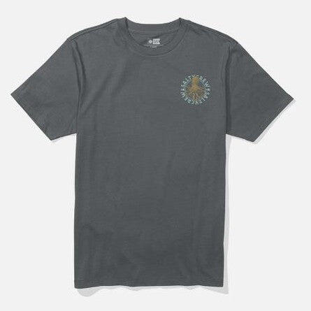 82eda6c4-01b8-469d-9863-4f18506219d2_c255c255