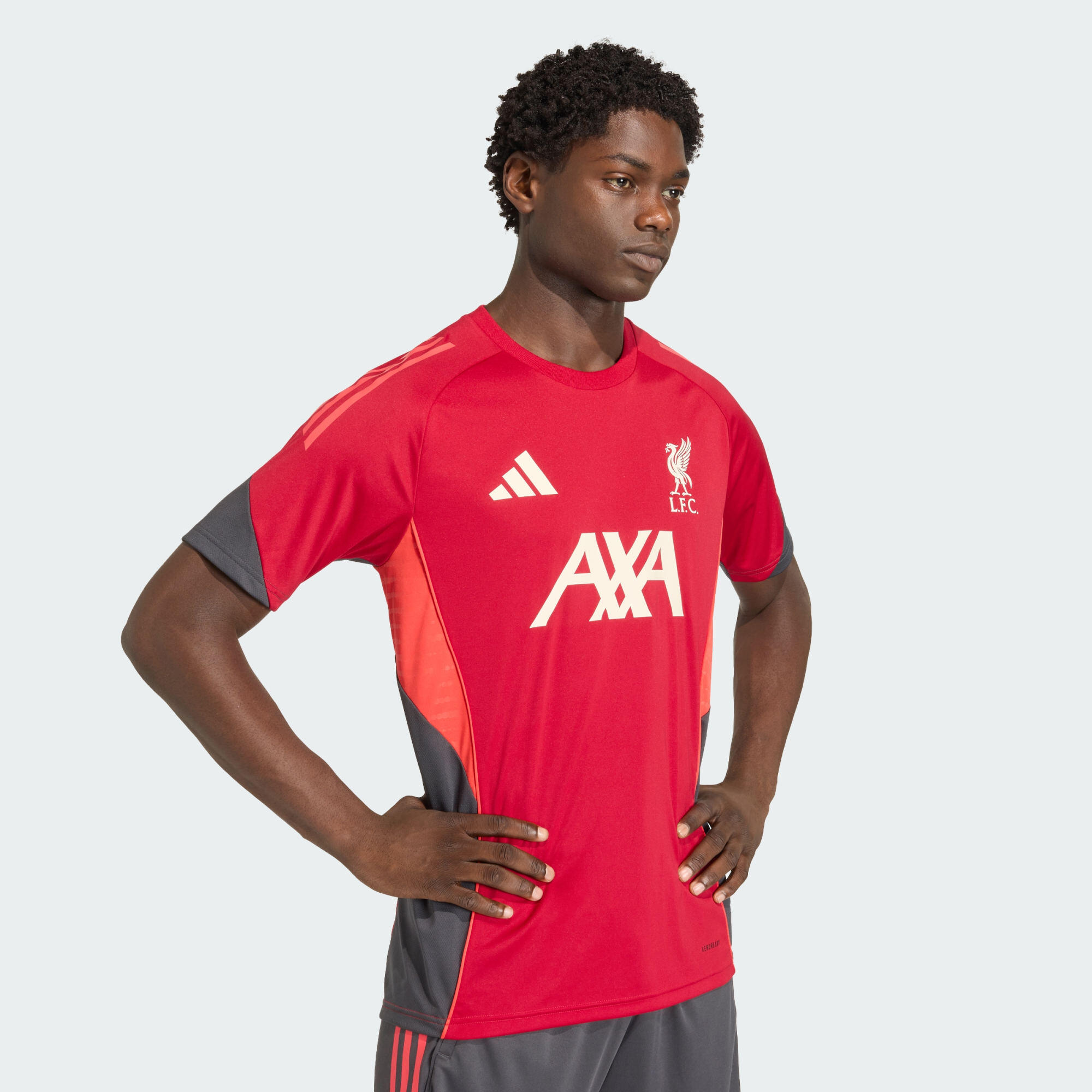FC Liverpool Tiro 25 Competition Trainingstrikot 4/6