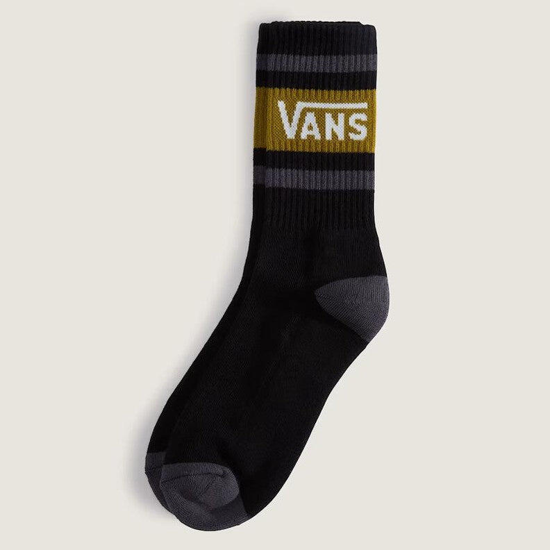 VANS picture