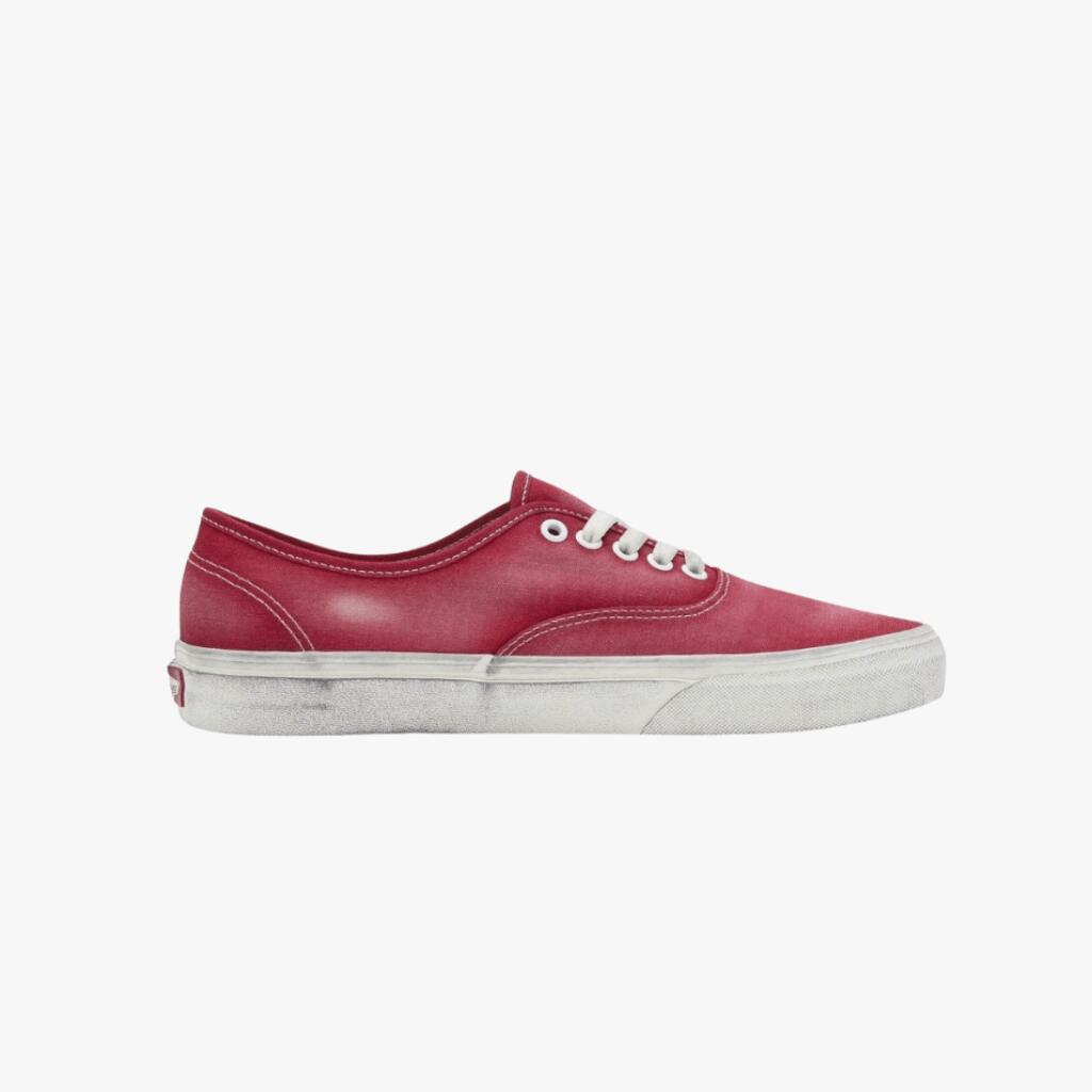 VANS picture