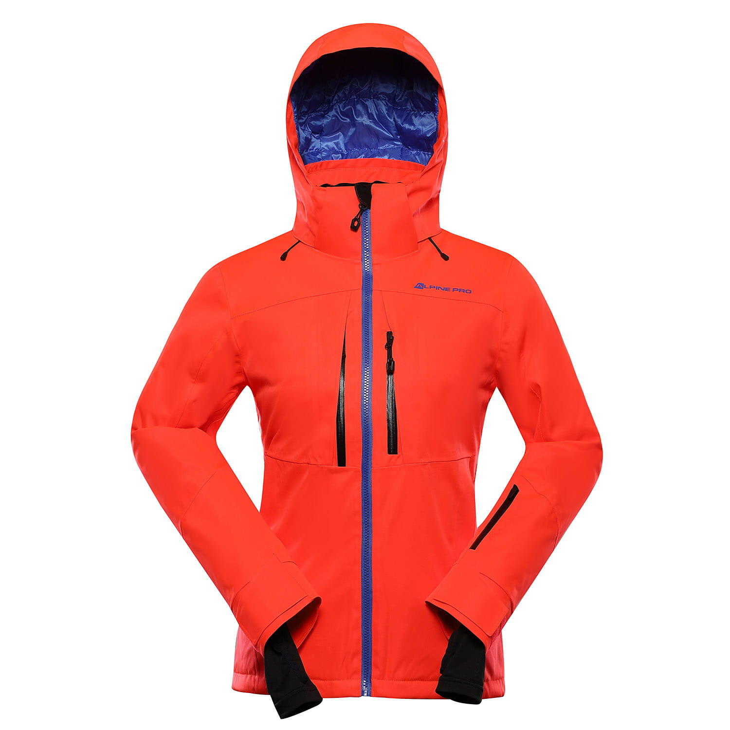 ALPINE PRO picture