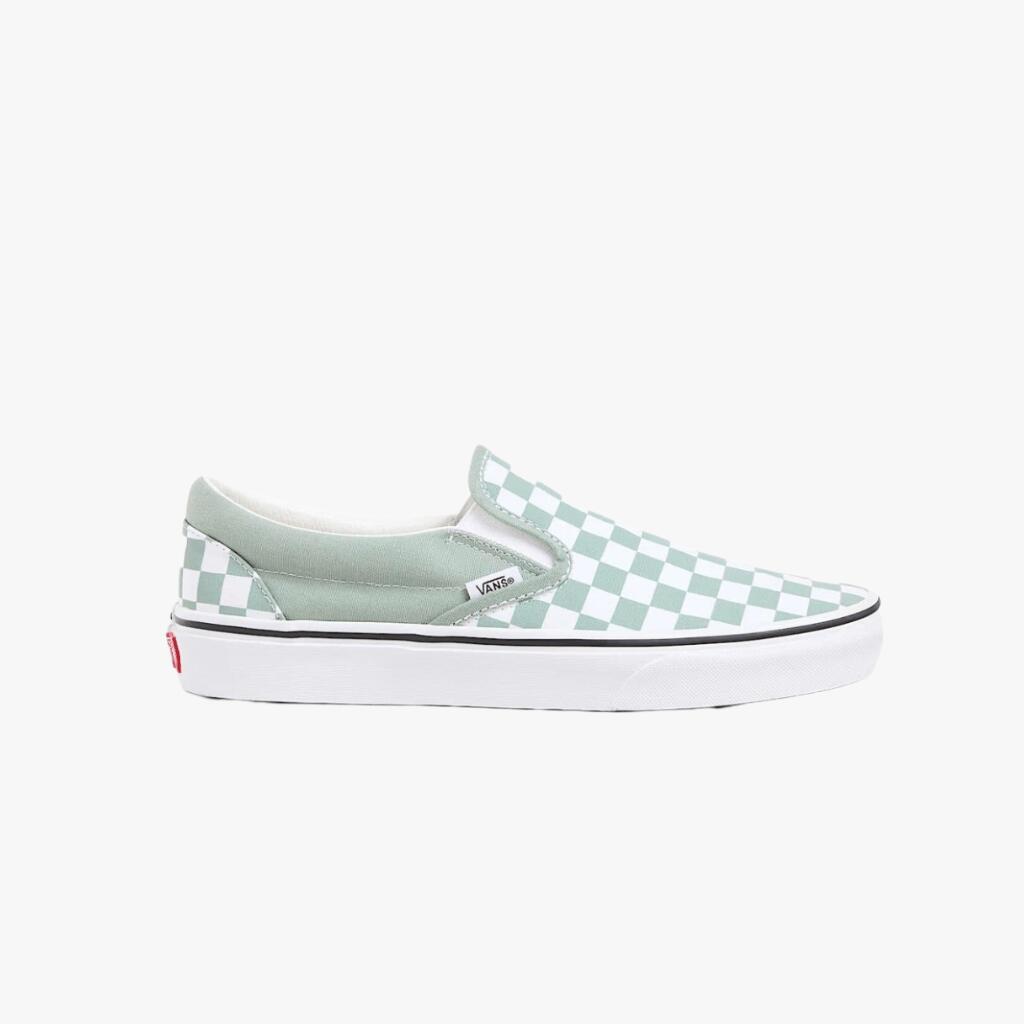 VANS picture