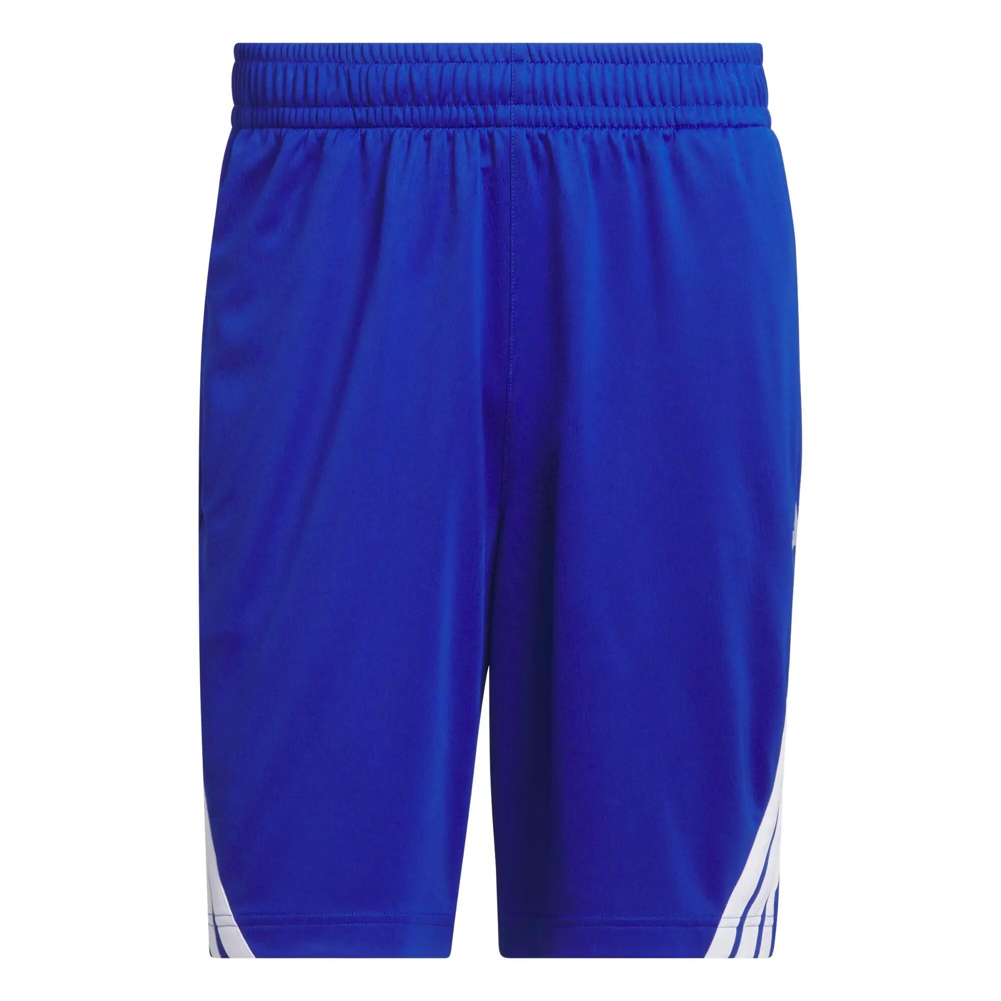 Pantalón corto Basketball Legends 3 bandas 2/6
