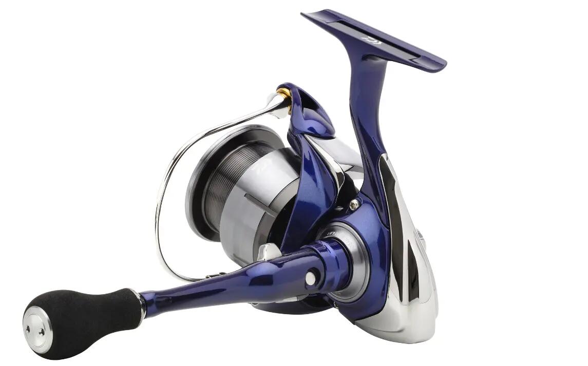 Moulinet de pesca Daiwa Team R 2024 Argent 6/7