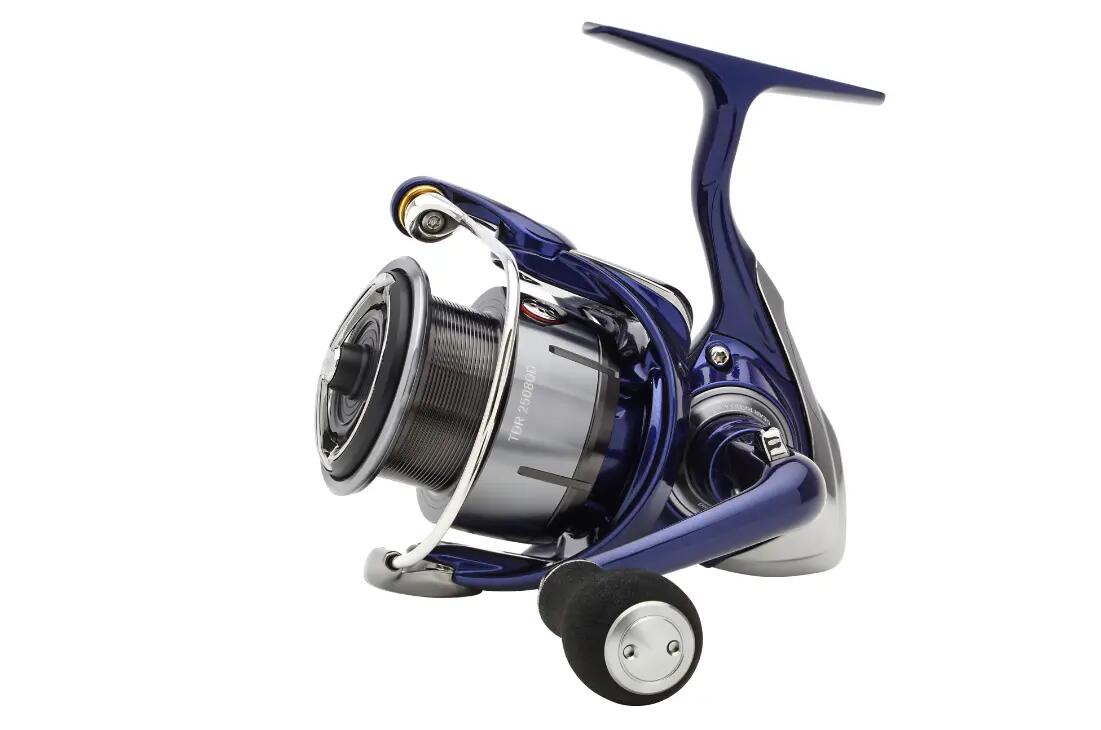 Moulinet de pesca Daiwa Team R 2024 Argent 4/7