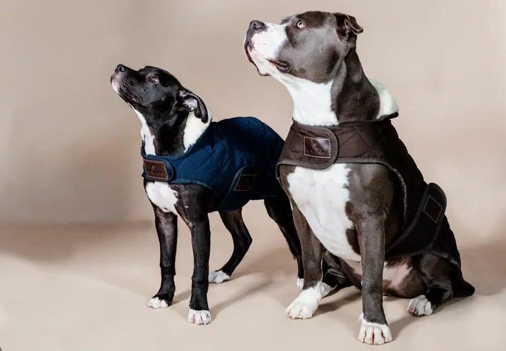 Abrigo para perro Kentucky Original 160g 5/7