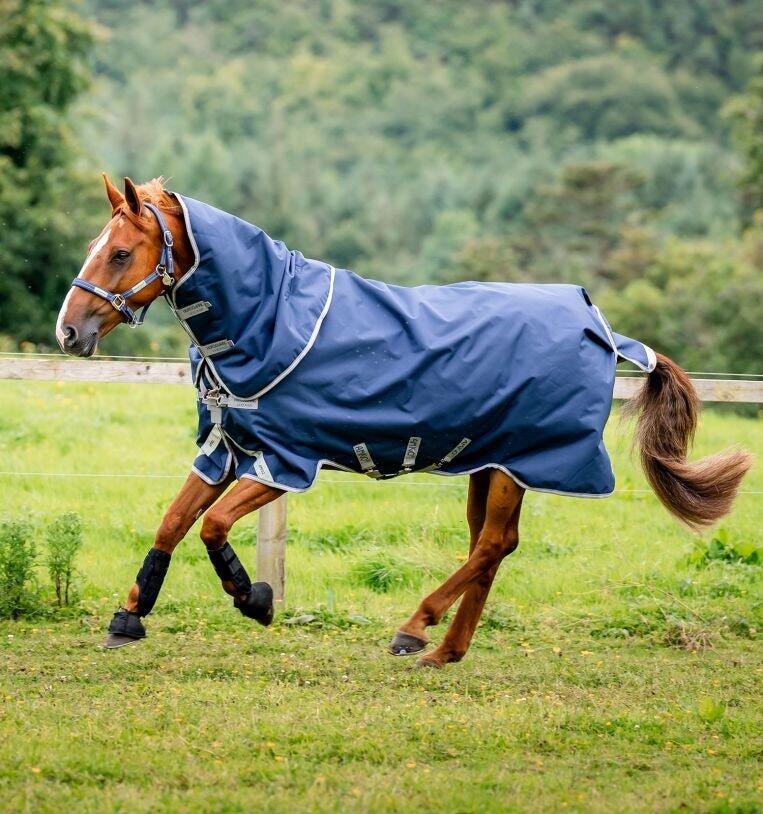 HORSEWARE IRELAND picture