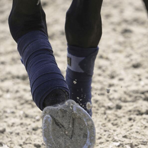 Bandes de polo polaire pour cheval Kentucky 4/7