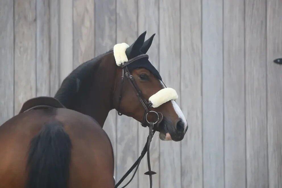 Bonnet anti-mouche noir 2/3