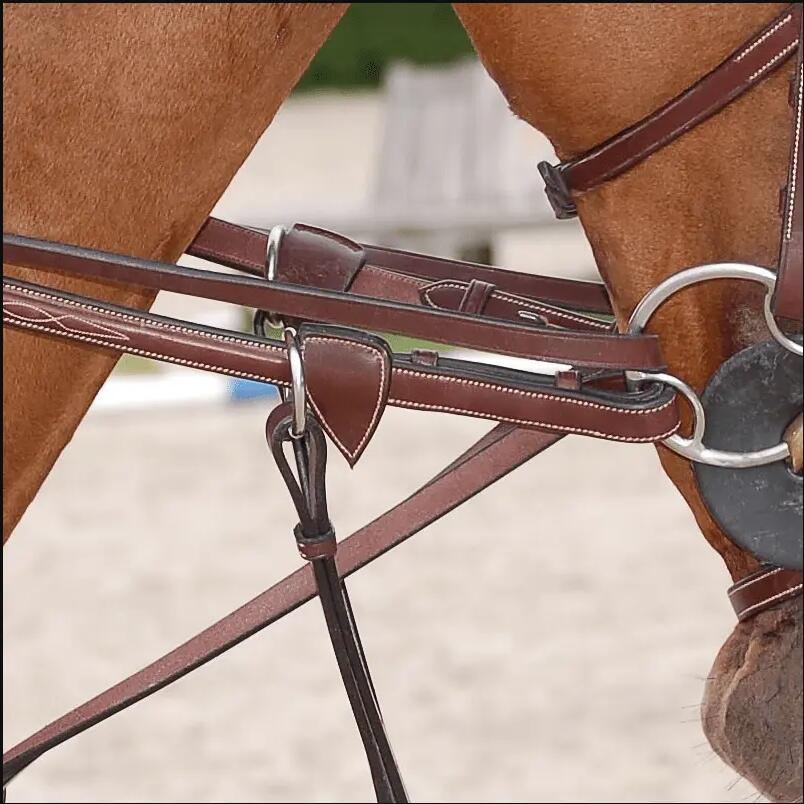 Full leather horse reins Dy'on Draw 1/2