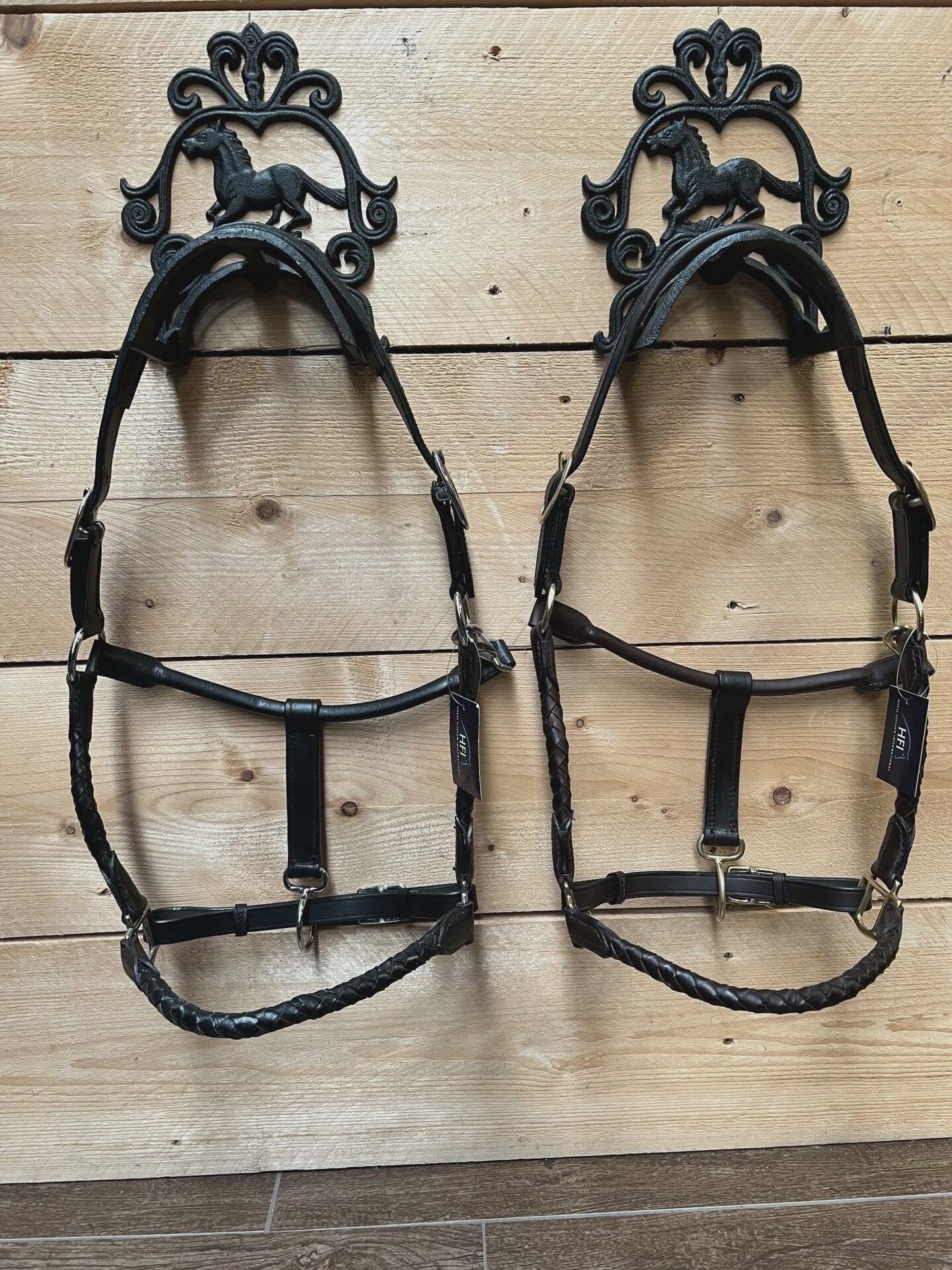Leather halter for horses HFI Braided 5/5