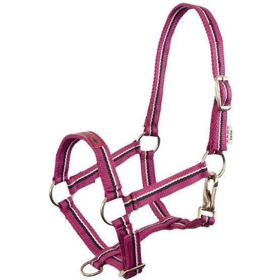 Harnais pour poulain Fun Violet - Fouganza 7/7