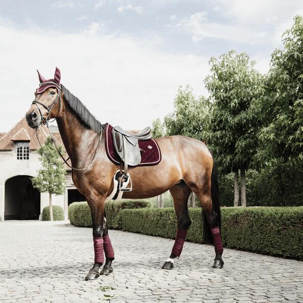 Polo wraps for horse Kentucky 4/7