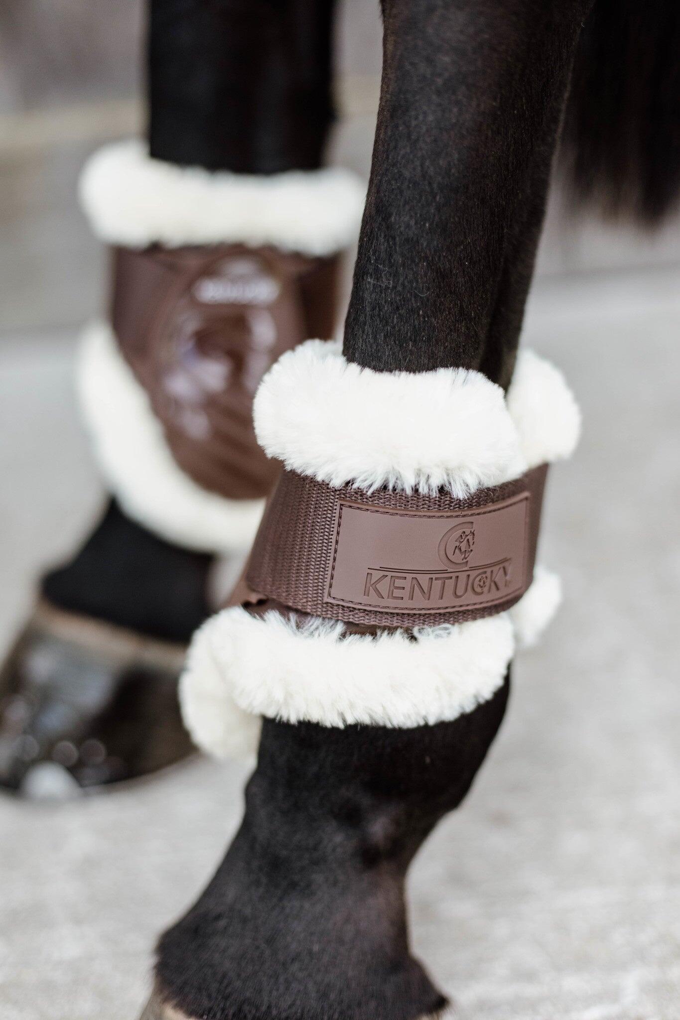 Protector vegano de menudillos para caballos jóvenes Kentucky 7/7