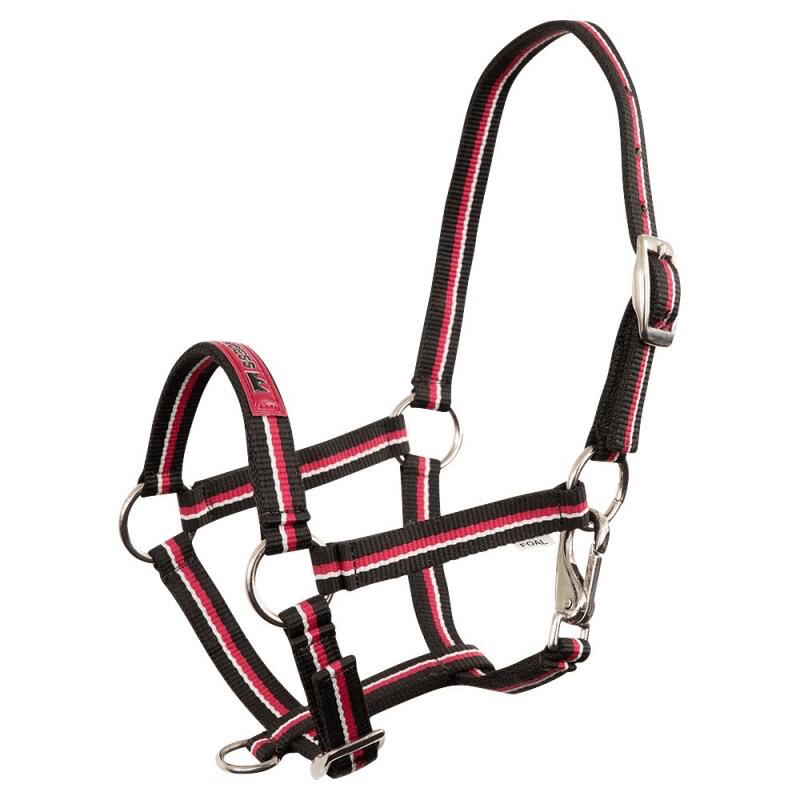 Harnais pour poulain Fun Violet - Fouganza 6/7