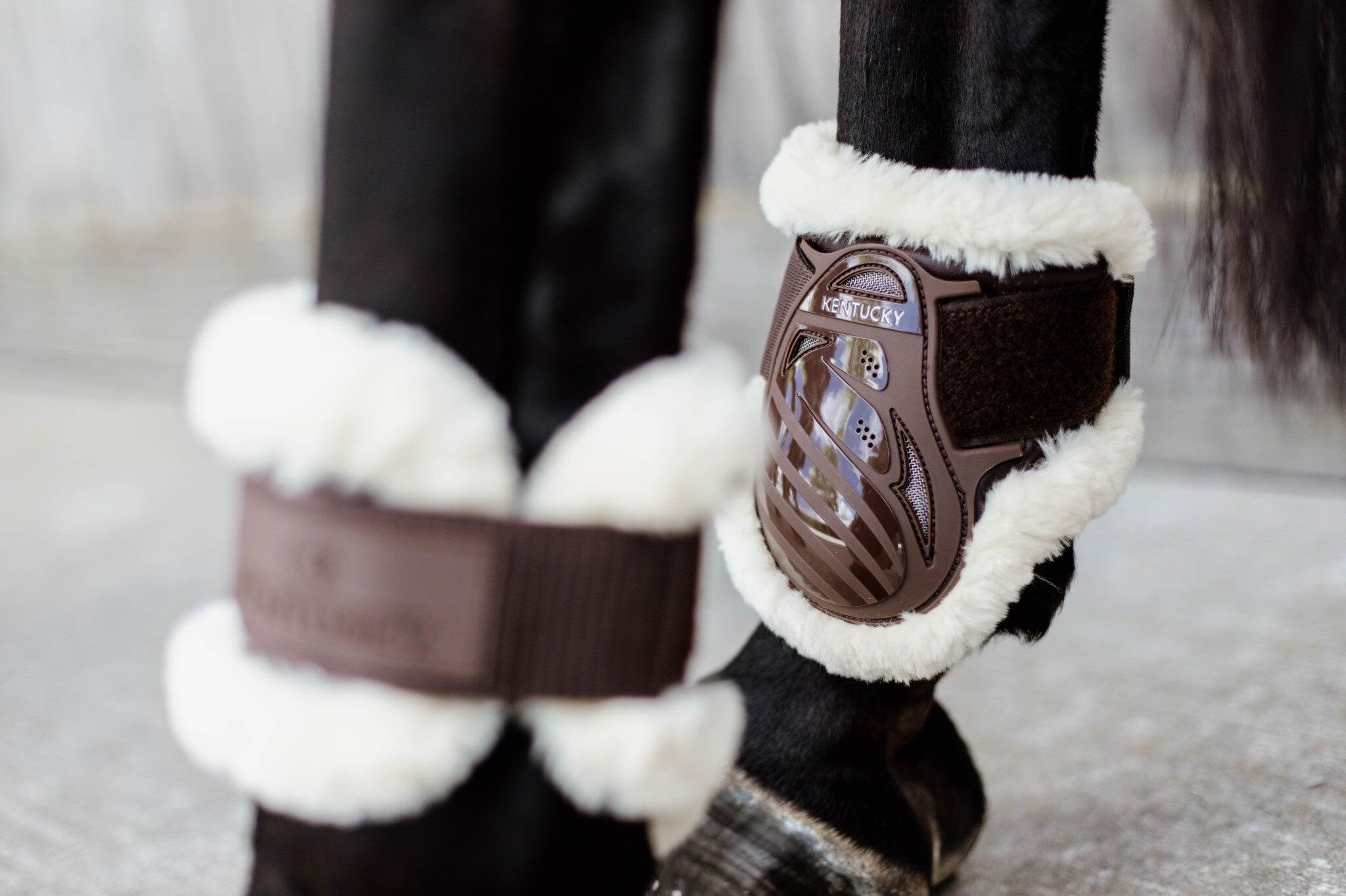 Protector vegano de menudillos para caballos jóvenes Kentucky 6/7