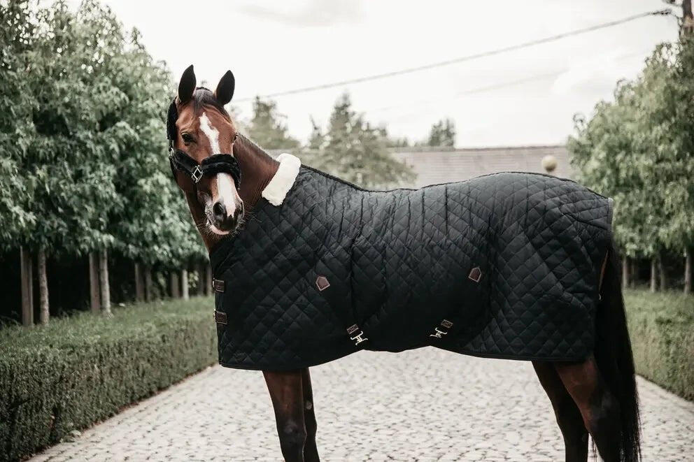 Coperta da stalla per cavalli Kentucky 400 g 7/7