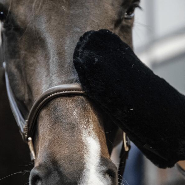 KENTUCKY HORSEWEAR picture