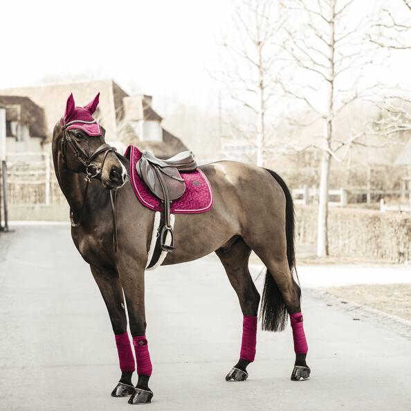 Bandes de polo Velvet  - Kentucky 6/7