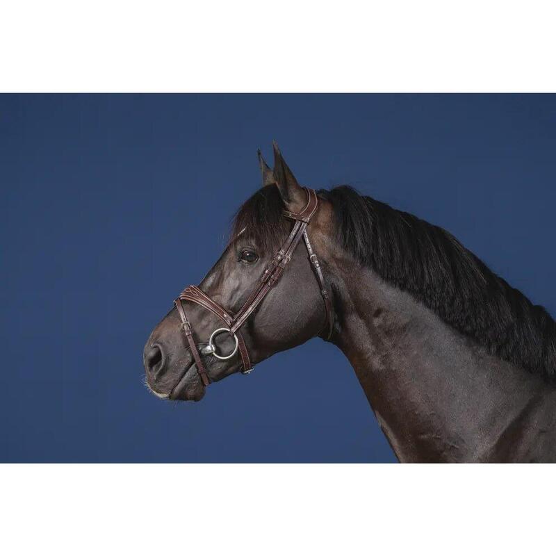 Dy'on Anatomic Flash Noseband Hoofdstel Hunter Zwart -