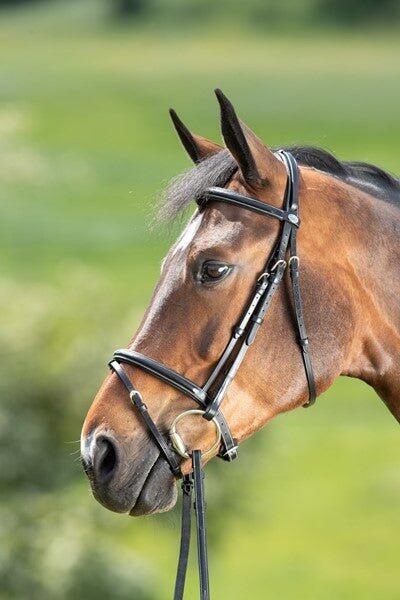 Bridons équitation HFI Comfort 3/7